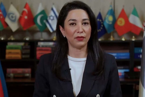 ombudsman-beynelxalq-ictimaiyyete-muraciet-edib